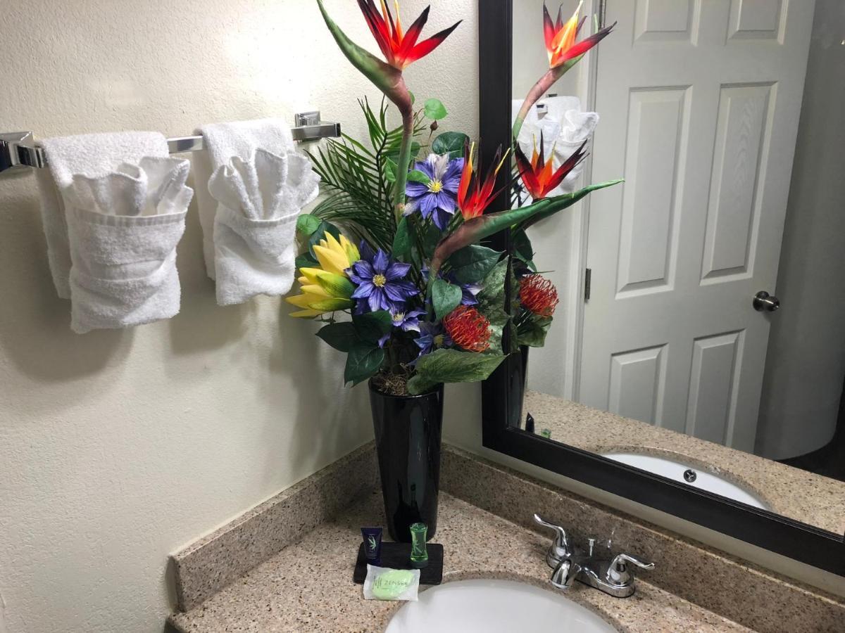 Econo Lodge Choice Hotels I 95 Savannah Gateway 24 Hour Fitness Center On Site Guest Laundry On Site Perkins Restaurant Georgetown ภายนอก รูปภาพ
